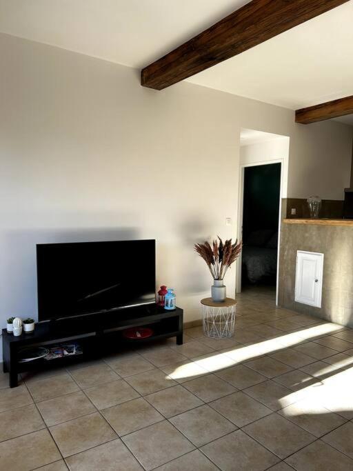 Superbe Appartement Dans Un Mas Nîmes Zewnętrze zdjęcie